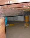 Mold and rot thriving in a dirt floor crawl space in Reading