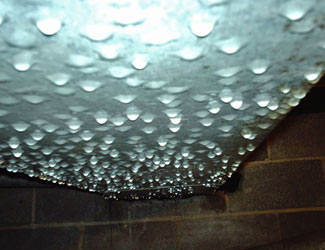 Condensation In A Humid Crawl Space a flooded basement floor in a Altoona home