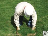Restoring the landscaping by replacing removed sod on the ground for a Altoona  home.