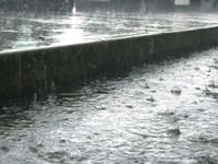 Heavy rains in a downpour in Pittston.