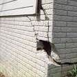 foundation walls cracked due to settlement in Reading