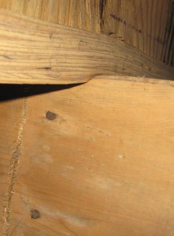 severe damage to a crawl space structure in a Lebanon home