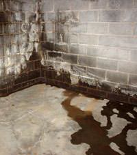 Water seeping through a concrete wall in a Camp Hill basement