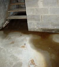 Flooding floor cracks by a hatchway door in Dover